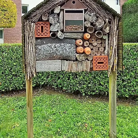 호텔 Ibis Les Etangs Des Moines Fourmies