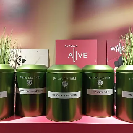 Ibis Les Etangs Des Moines מלון