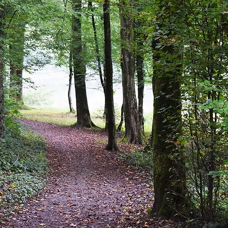 Ibis Les Etangs Des Moines Fourmies