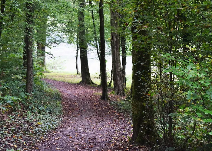 Ibis Les Etangs Des Moines Hotel Fourmies