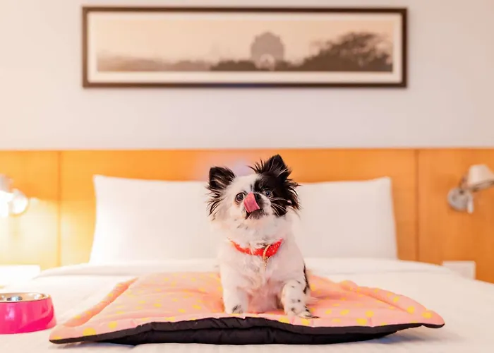 Hotel Ibis Les Etangs Des Moines 3*